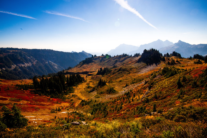 Wide alpine meadow in peak autumn color with orange and red foliage and mountain ridgeline
